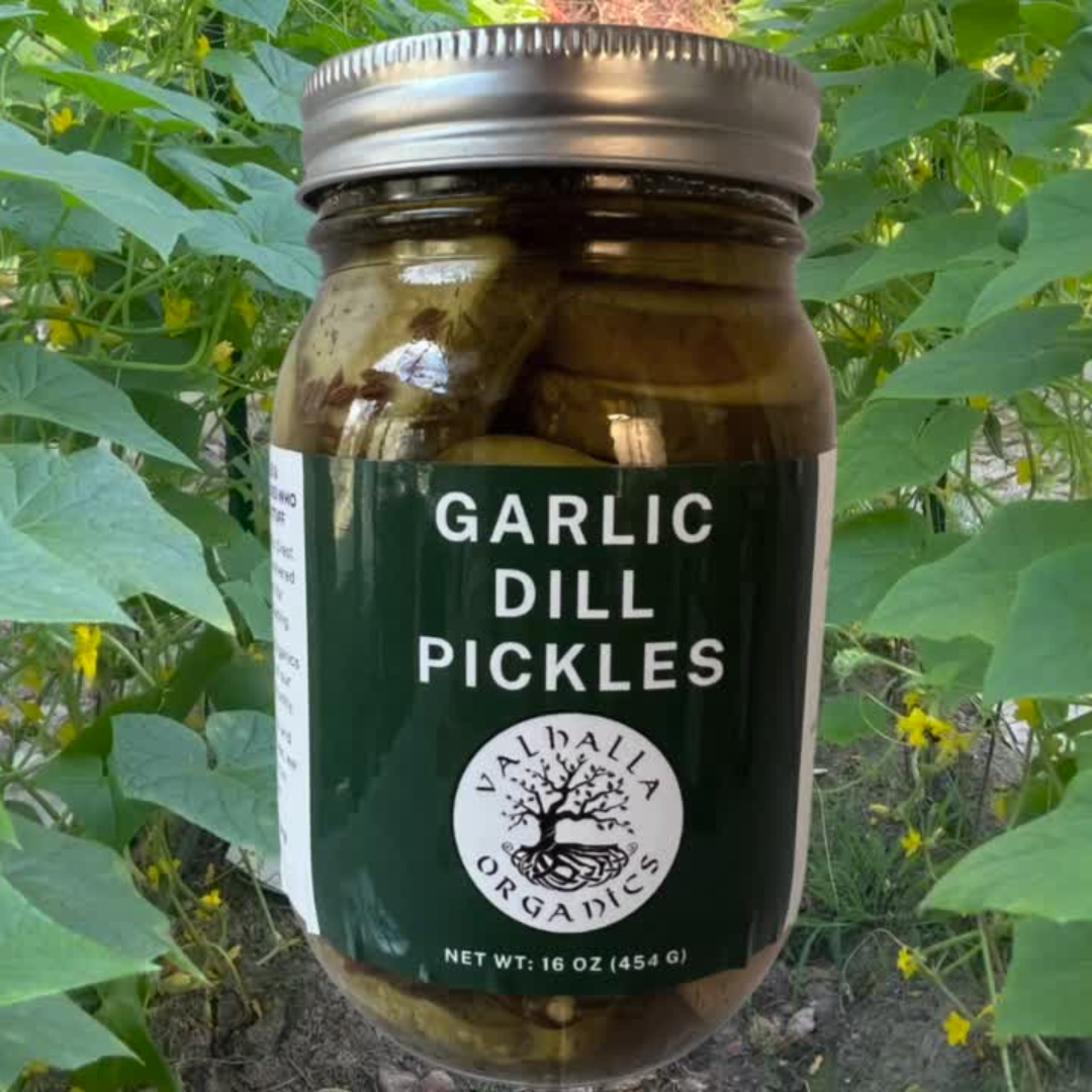 Garlic Dill Pickles