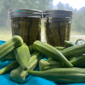 Pickled Okra
